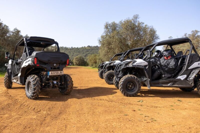 Porto Santo: 180 Minutes Off-Road Buggy Tour - Practical Details and Tips