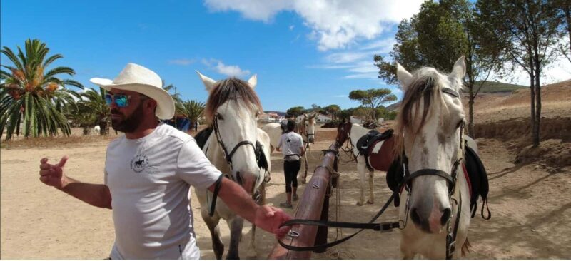 Porto Santo Island: Horse Riding - The Experience Through the Lens of Reviews