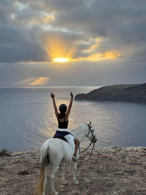 Porto Santo Island: Horse Riding - FAQ: Your Questions About Porto Santo Horse Riding