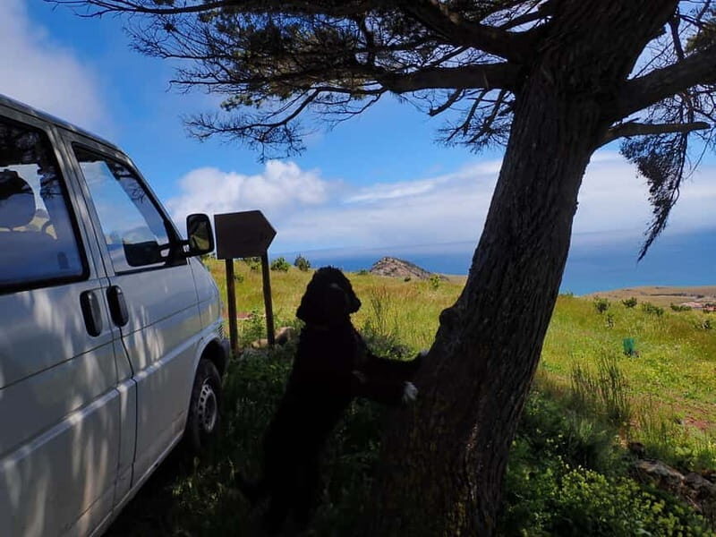 Porto Santo Island: Pico do Facho Panoramic Trail - Key Points