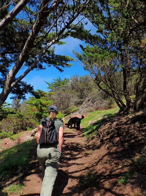 Porto Santo Island: Pico do Facho Panoramic Trail - The Essentials of the Pico do Facho Panoramic Trail