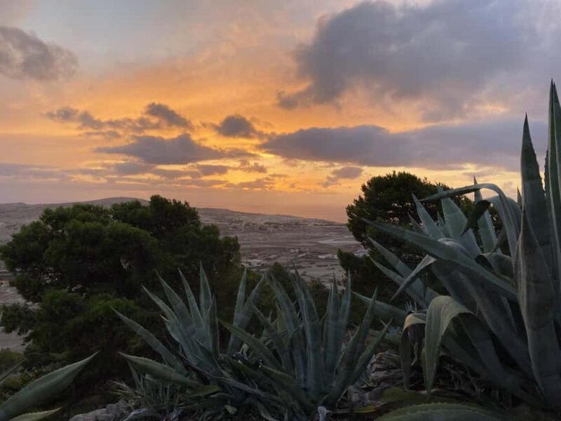 Porto Santo, Photographic whole island tour - Who This Tour Is Best For