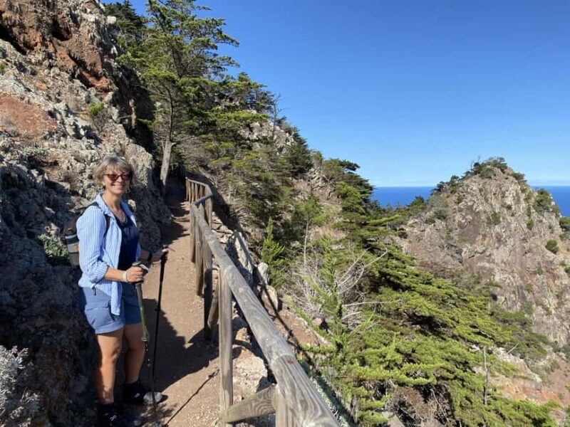 Porto Santo: Pico Branco and Terra Cha Guided Mountain Hike - What Makes This Tour Stand Out?