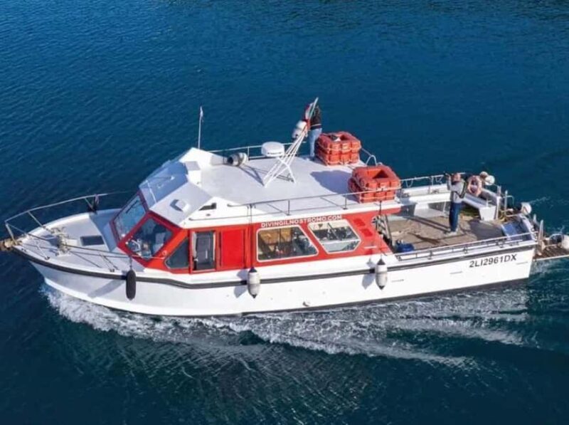 Porto Santo Stefano: Snorkeling Day Trip with Lunch - What Our Reviewers Say