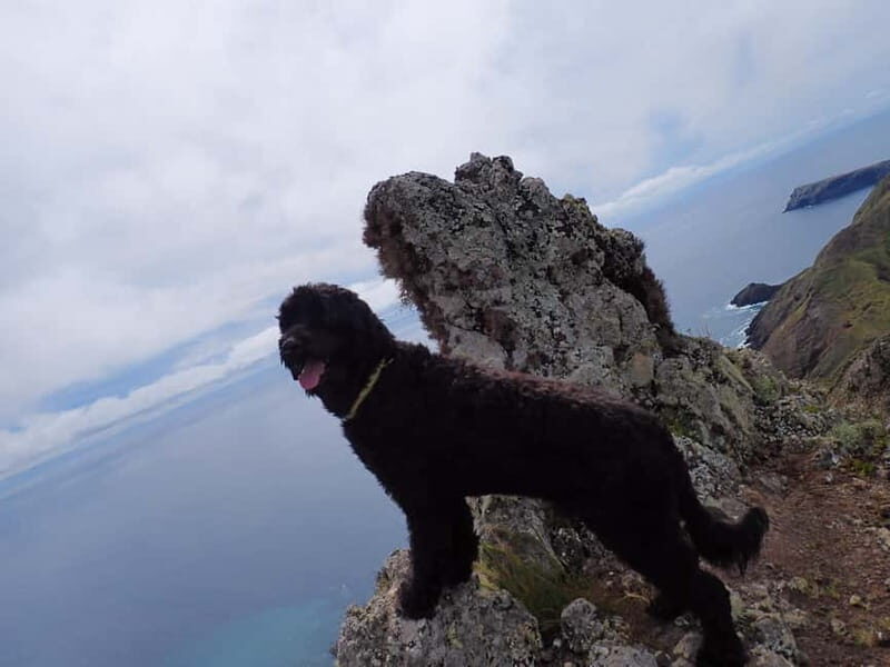 Porto Santo: Terra Chã and Pico Branco Hiking tour - An Honest Look at the Porto Santo Hiking Tour