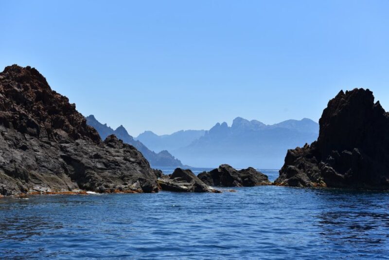 Porto: Scandola and Calanches of Piana Boat Trip - The Value and Price
