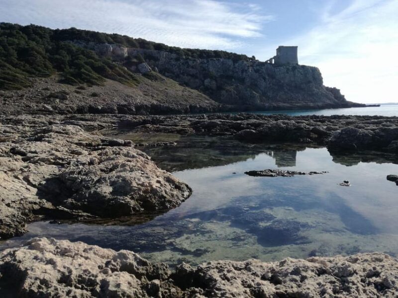 Porto Selvaggio (Nardò-LE): Archaeological Tour - Who Should Consider This Tour?