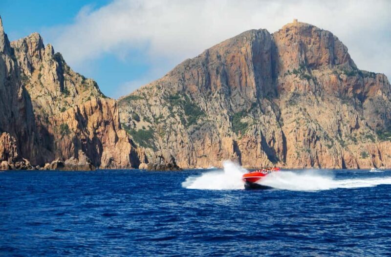 Porto: Sensational trip in the Gulf of Porto - Practical Details and Considerations