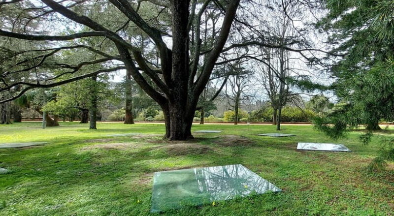 Porto: Serralves Gardens Art and Architecture Walking Tour - Who Should Consider This Tour?