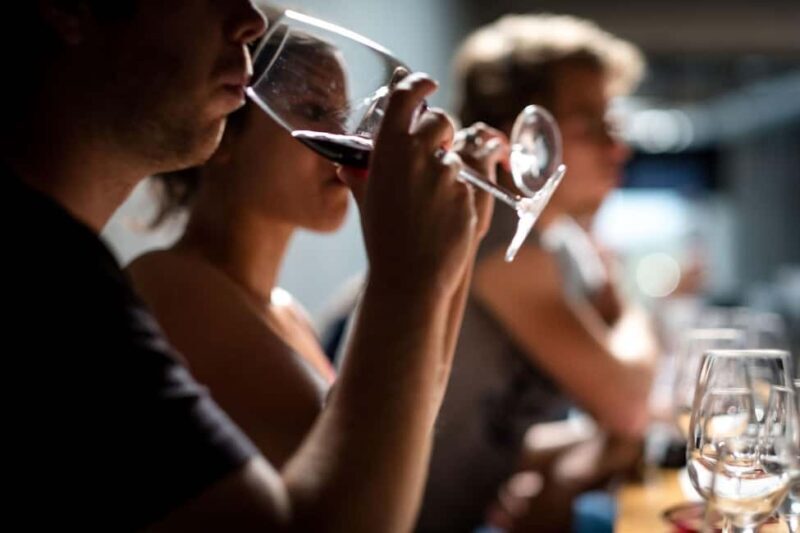 Porto: Single Varieties Tour & Tasting - Poente by Vallado - What to Expect at Poente by Vallado