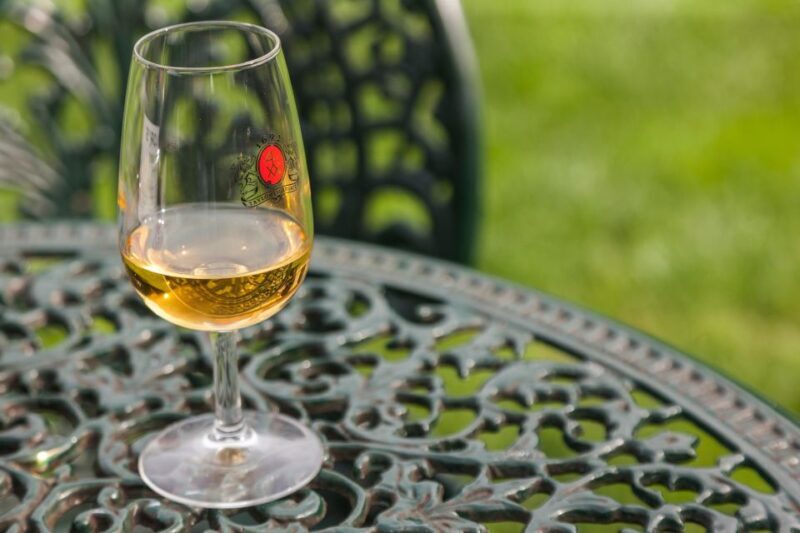 Porto: Taylors Port Cellar Tour & WOW Museum Pack - What to Expect from the Tour