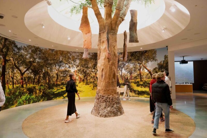 Porto: Taylors Port Cellar Tour & WOW Museum Pack - The Bottom Line