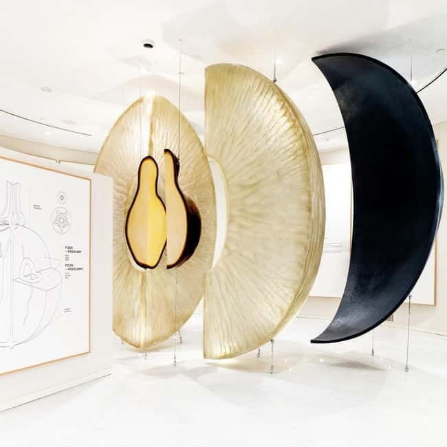 Porto: Taylors Port Cellar Tour & WOW The Wine Experience - The Value Proposition