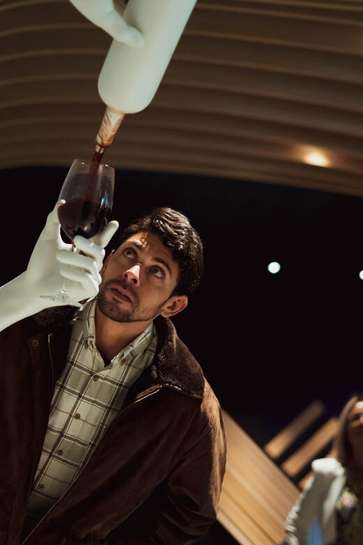 Porto: Taylors Port Cellar Tour & WOW The Wine Experience - Who Will Love This Tour?