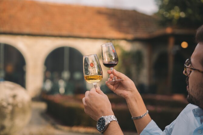 Porto: Taylor's Port Cellars Visit & Port Wine Tasting - What You’ll Learn in the 300-Year-Old Cellars