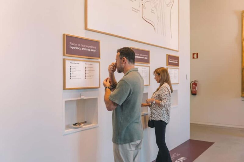 Porto: The Wine Experience, Best Wine Museum in the World - What is The Wine Experience?