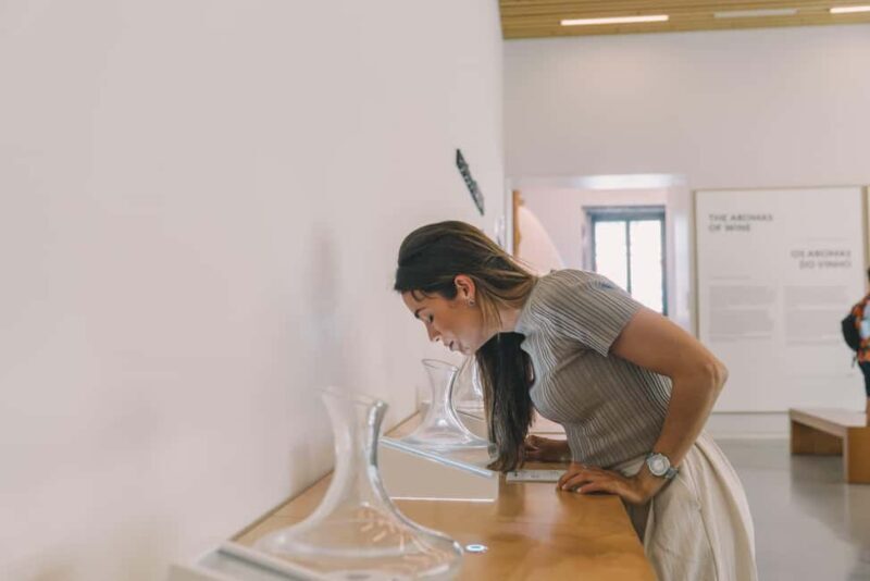 Porto: The Wine Experience, Best Wine Museum in the World - Guided Tastings and Confidence Building