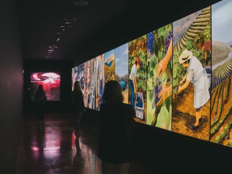 Porto: The Wine Experience, Best Wine Museum in the World - The Museum Itself: Layout and Atmosphere