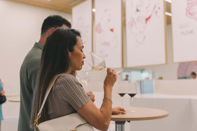 Porto: The Wine Experience, Best Wine Museum in the World - The Broader WOW Complex