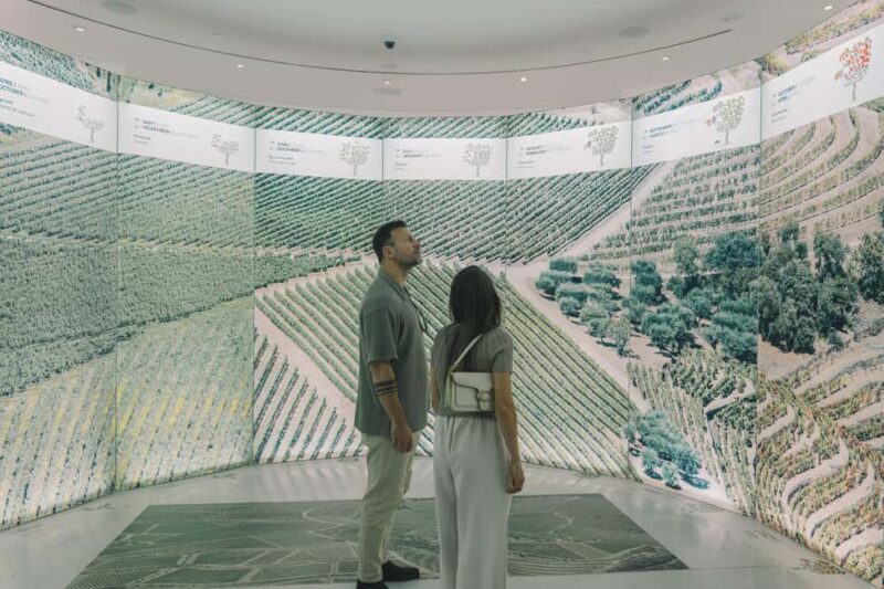 Porto: The Wine Experience, Best Wine Museum in the World - Price vs. Value