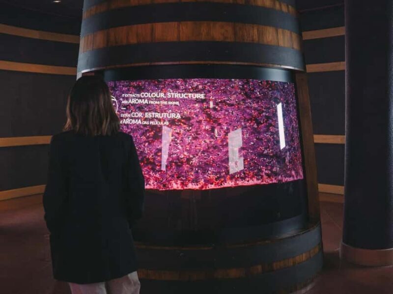 Porto: The Wine Experience, Best Wine Museum in the World - Final Thoughts: Who Will Love This?