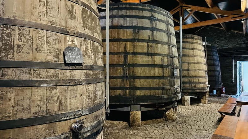 Porto to Gaia Experience: City Walk and Wine Cellars - Final Thoughts