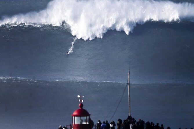 Porto to Lisbon up to 5 stops Aveiro Coimbra Fátima Nazaré Óbidos - Who Is This Tour Best Suited For?