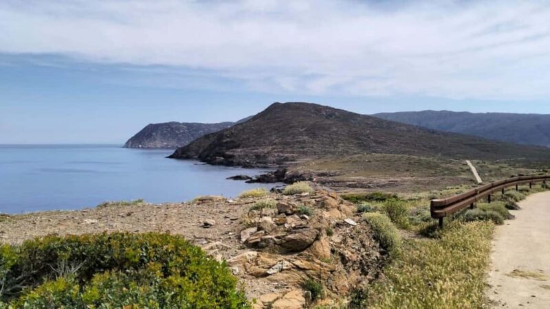 Porto Torres: Asinara Island Tour by Electric minivan - Is This Tour Right For You?