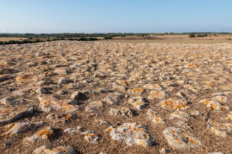 Porto Torres: Monte d'Accoddi & Su Crucifissu Mannu - FAQ