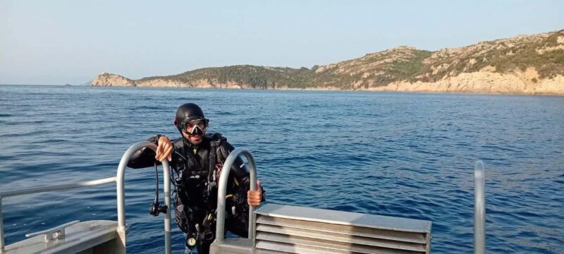 Porto-Vecchio: beginner diving in the Cerbicale Islands in the reserve - Setting the Scene: What You Can Expect