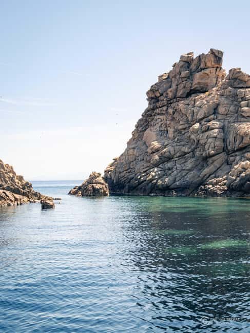 Porto-Vecchio: Half-day private dive to the Cerbicale Islands - Key Points