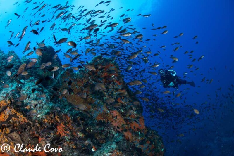 Porto-Vecchio: Half-day private dive to the Cerbicale Islands - FAQ