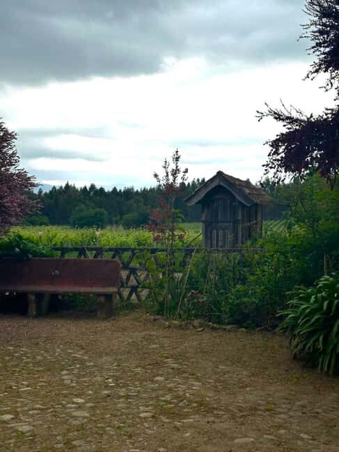 Porto: Vinho Verde Region Tour with 2 Wineries & Lunch - Key Points