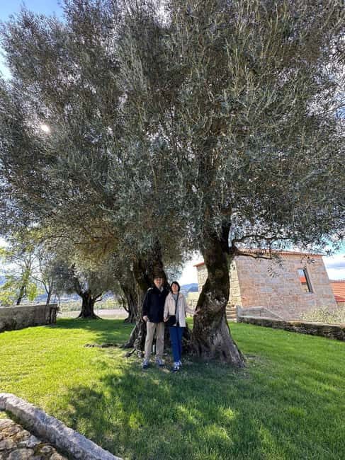Porto: Vinho Verde Region Tour with 2 Wineries & Lunch - Innovative Approaches at the Second Winery
