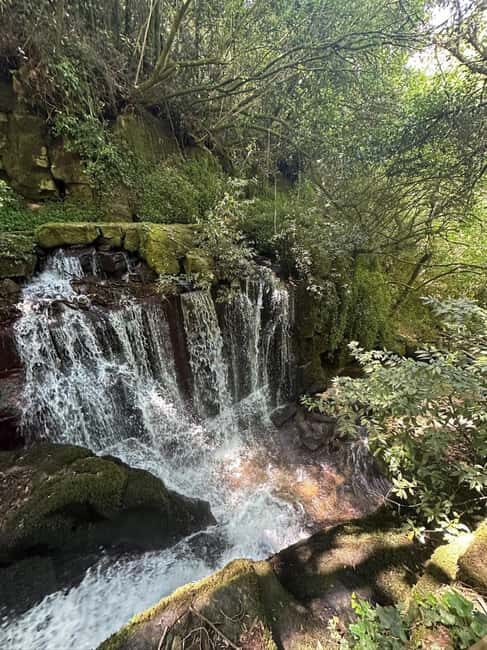 Porto: Vinho Verde Region Tour with 2 Wineries & Lunch - The Practicalities: What You Need to Know