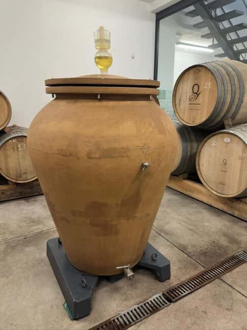 Porto: Vinho Verde Region Tour with 2 Wineries & Lunch - FAQs