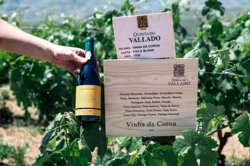 Porto: VR Tour with 4 Iconic Wines - Poente by Vallado - What to Expect from the Experience