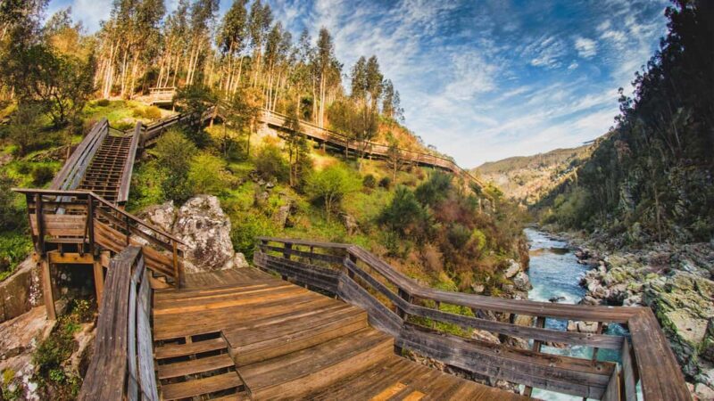Porto: Walk along the Paiva Walkways and Adventure in Nature - The Trail and Natural Beauty