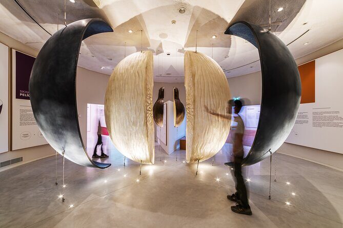 Porto: Wine Experience Musem with 3 Wine Tastings - What is The Wine Experience Museum?