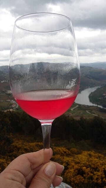 Porto: Wine Tasting Class with 4 Wines in Portus Wine - Key Points