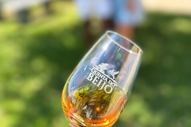 Porto Wine Tasting with GUIDED TOUR - Who Will Love This Tour?