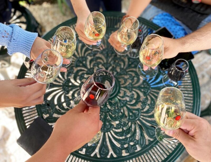 Porto: Wine Tasting with Tapas Walking Tour - What to Expect from the Tour