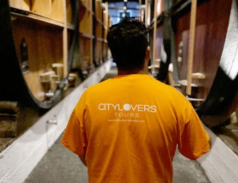 Porto: Wine Tasting with Tapas Walking Tour - The Wine Selection: What You’ll Taste (and How It Usually Feels)