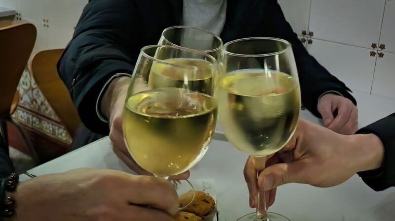 Porto: Wine Tour & One Hour Fado Show | All Included - Who Would Love This Tour?