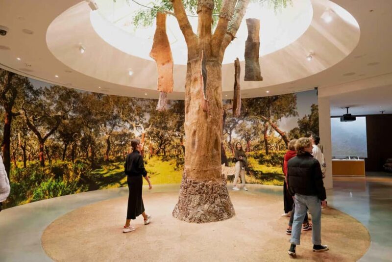 Porto: WOW Daily Ticket: Explore, taste & enjoy in 2 days - Who Is This Experience Best For?