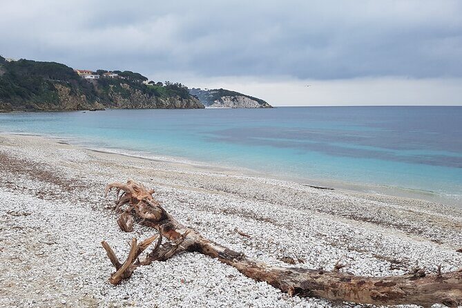 Portoferraio Walking Tour with Guide 2 Hours - The Tour Experience: What You’ll Love