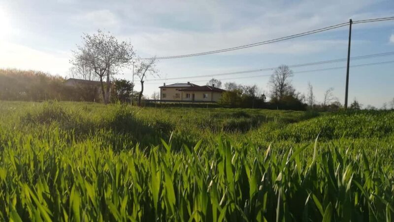 Portogruaro bike tour: the wild Tagliamento - What Others Say