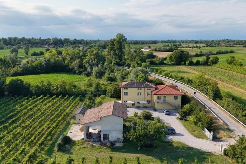 Portogruaro: Vineyard walk and tasting with Le Crede - Key Points