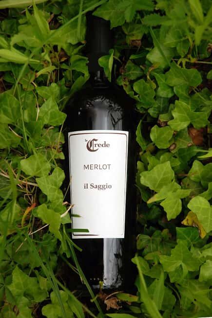 Portogruaro: Vineyard walk and tasting with Le Crede - FAQ