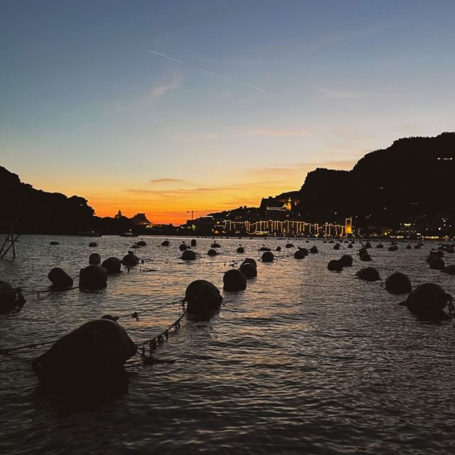 Portovenere: Palmaria Island & Lord Byron Cave Sunset Cruise - Key Points